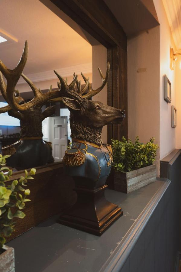 The Stag Hotel And Mailmans Arms Линдхорст Экстерьер фото