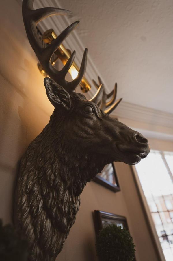 The Stag Hotel And Mailmans Arms Линдхорст Экстерьер фото