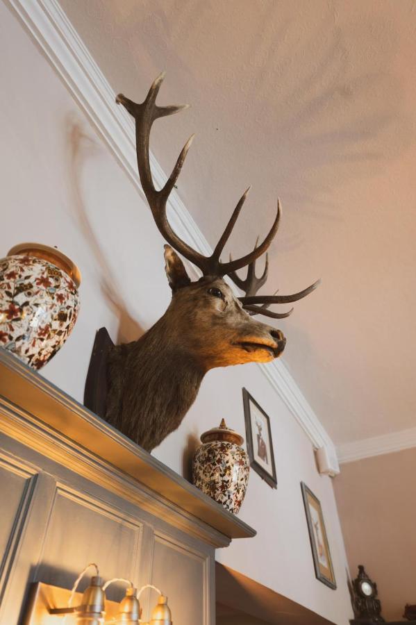 The Stag Hotel And Mailmans Arms Линдхорст Экстерьер фото